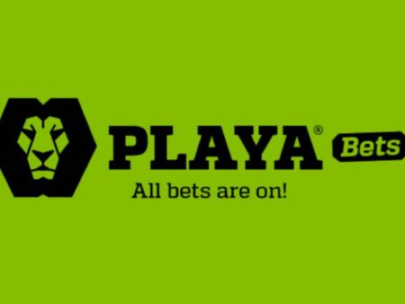 Tips for Winning at Playabets | Betting Guide