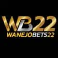 WanejoBets